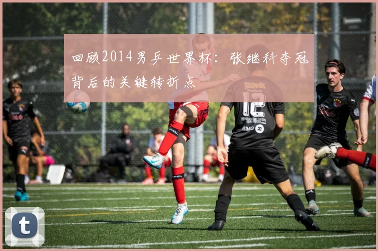 回顾2014男乒世界杯：张继科夺冠背后的关键转折点