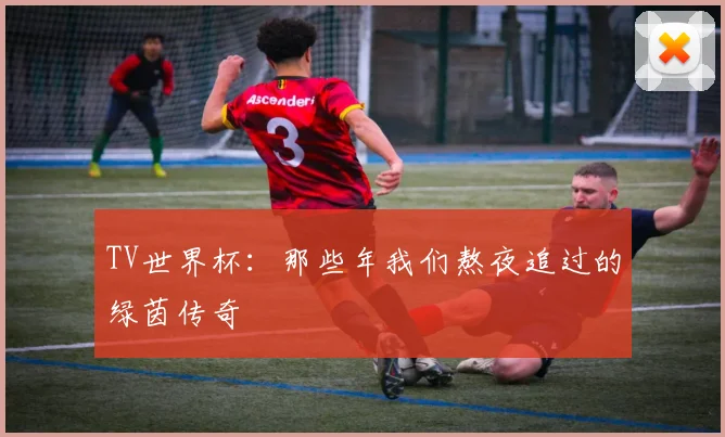 TV世界杯：那些年我们熬夜追过的绿茵传奇