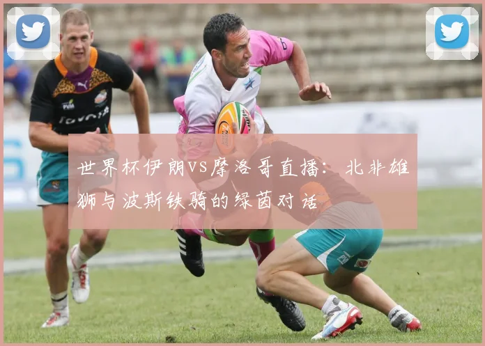 世界杯伊朗vs摩洛哥直播：北非雄狮与波斯铁骑的绿茵对话