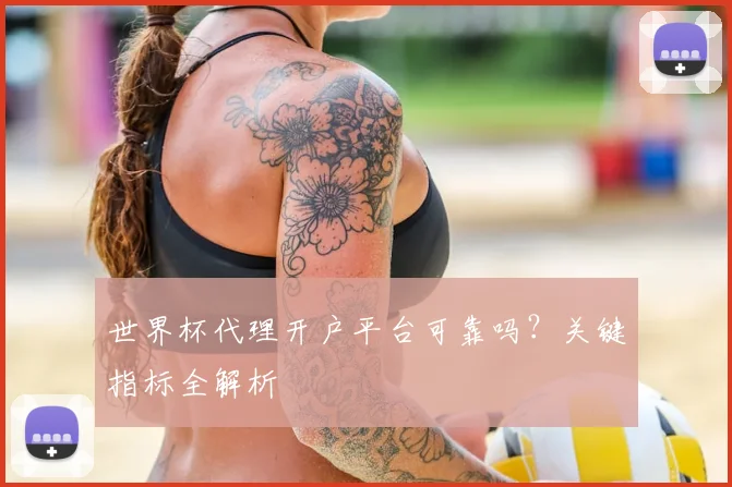 世界杯代理开户平台可靠吗？关键指标全解析