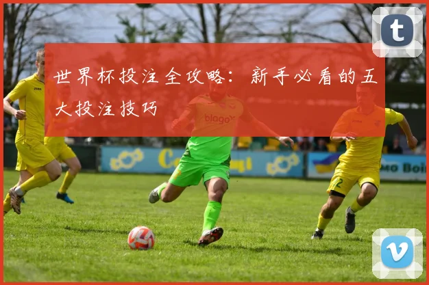 世界杯投注全攻略：新手必看的五大投注技巧